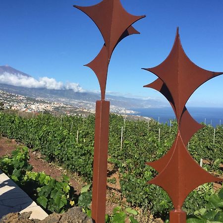 Finca Angelus Apartment Syrah With Amazing Views La Matanza De Acentejo Eksteriør billede