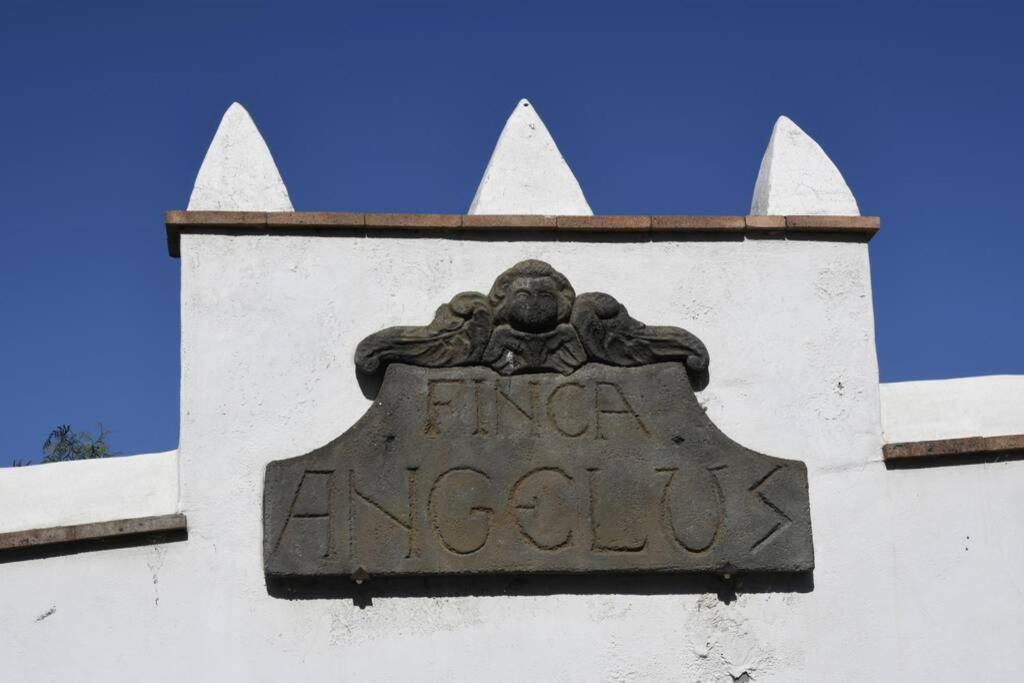 Finca Angelus Apartment Syrah With Amazing Views La Matanza De Acentejo Eksteriør billede