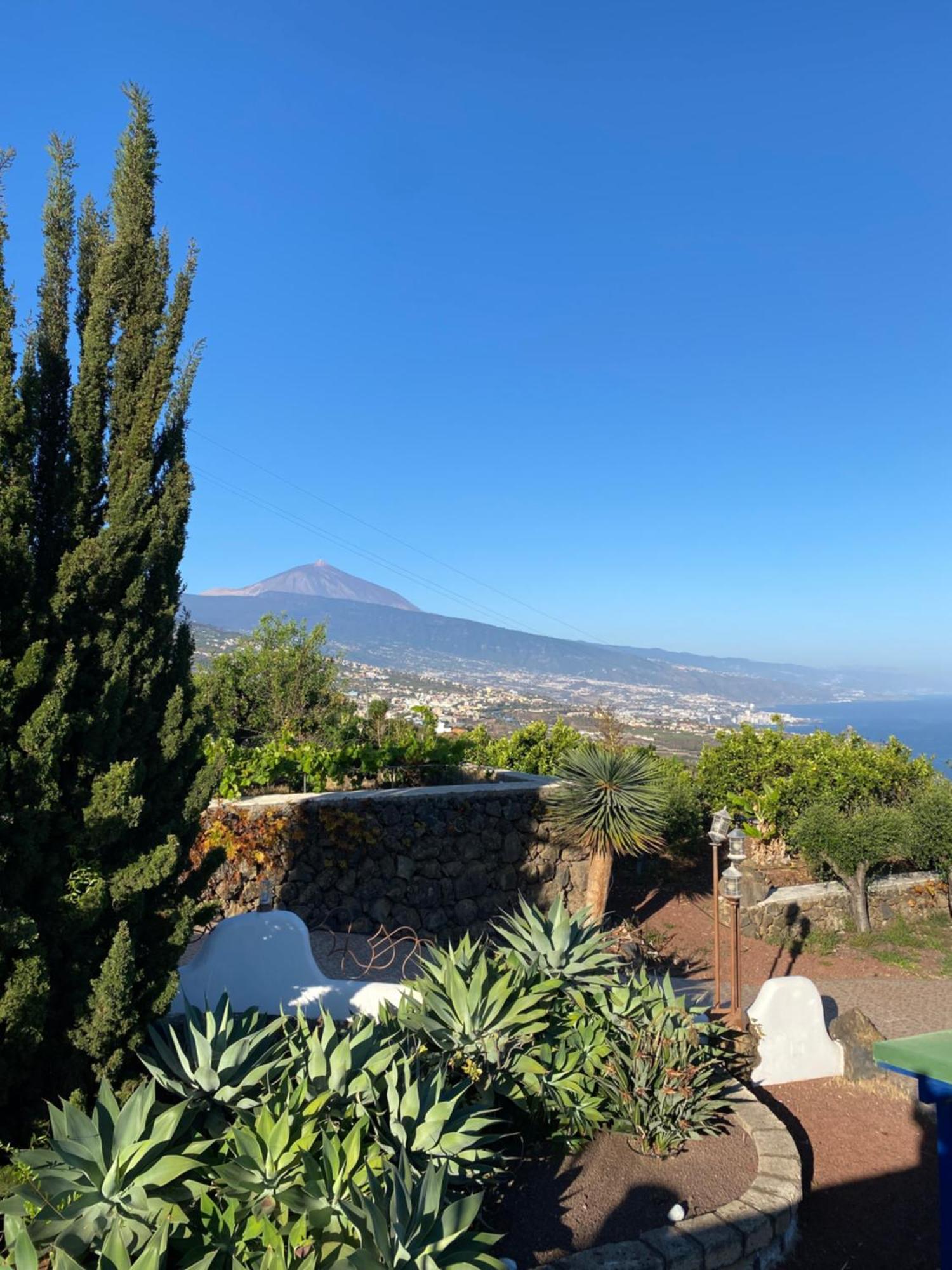 Finca Angelus Apartment Syrah With Amazing Views La Matanza De Acentejo Eksteriør billede